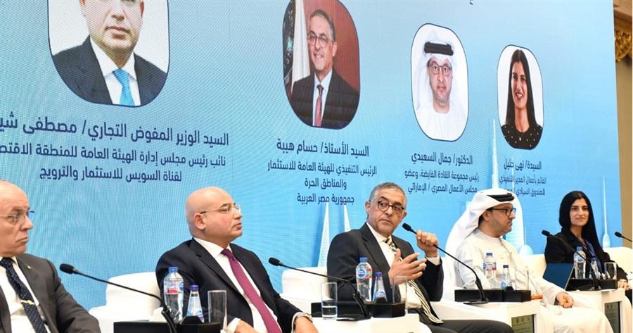 هيئة الاستثمار: وثيقة ملكية الدولة فتحت الطريق أمام مشاركة أوسع للقطاع الخاص